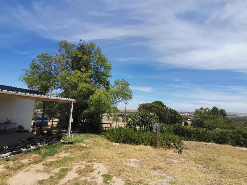 To Let 3 Bedroom Property for Rent in Klapmuts Western Cape